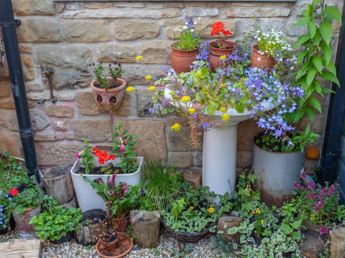Shaftoe'S Bed And Breakfast Haydon Bridge 外观 照片
